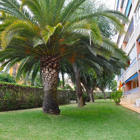 Apartment Punta Prima Sol Spain Torrevieja